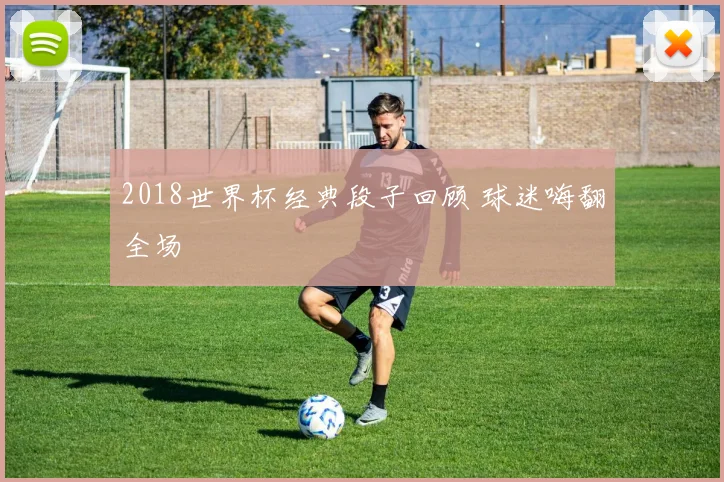 2018世界杯经典段子回顾 球迷嗨翻全场